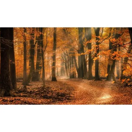 Heivlinder Comfort 4p Курортный комплекс *