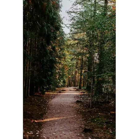 Курортный комплекс Heivlinder Comfort 4p *