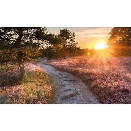 Heivlinder Comfort 4p Курортный комплекс