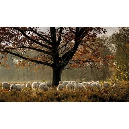 Heivlinder Comfort 4p Курортный комплекс *