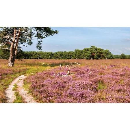 Heivlinder Comfort 4p Ermelo