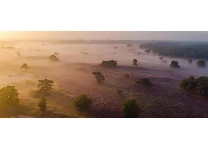 Heivlinder Comfort 4p Resort Ermelo