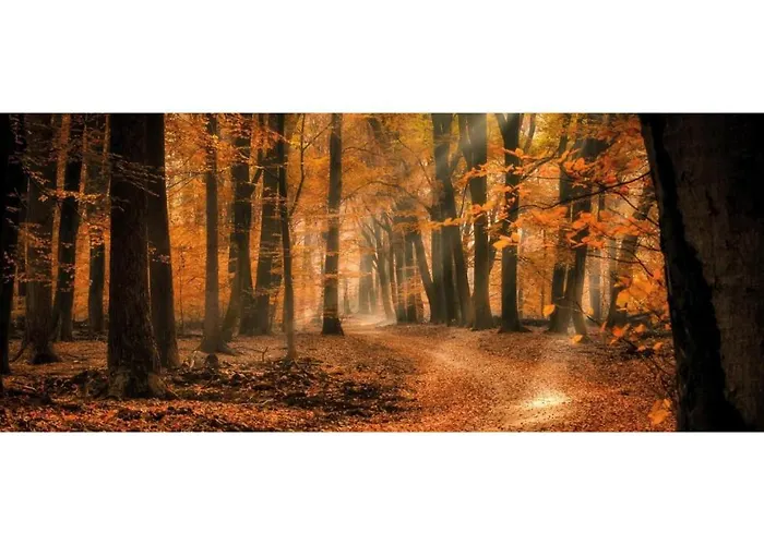 Heivlinder Comfort 4p Resort *