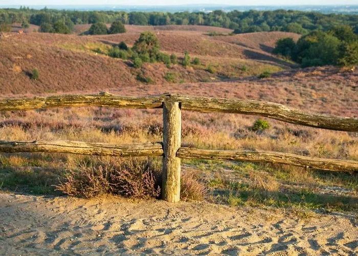 Heivlinder Comfort 4p Ermelo