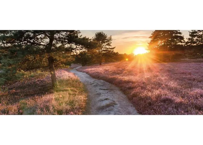 Heivlinder Comfort 4p Resort