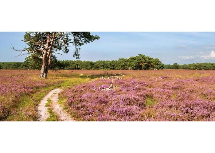 Heivlinder Comfort 4p Ermelo