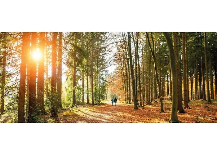 Heivlinder Comfort 4p *