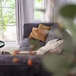 Heivlinder Comfort 4p Semesteranläggning (resort) Ermelo