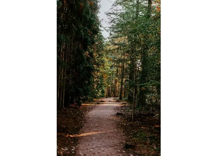 Resort Heivlinder Comfort 4p *